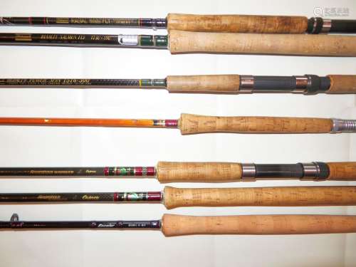 A collection of 14 various fishing rods