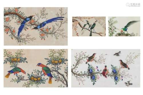 FIVE FRAMED CHINESE PITH PAINTINGS, BIRDS