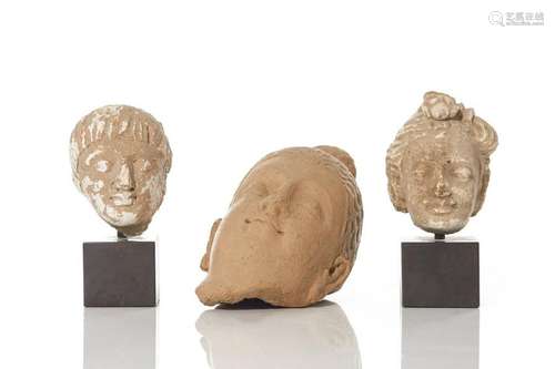 GANDHARA STUCCO AND TERRACOTTA BUDDHA HEADS