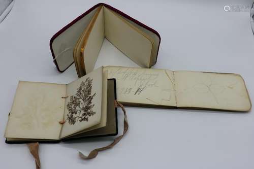 Lot of Antique Autograph Albums