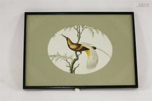 A collection of five Chinese pith paper paintings,