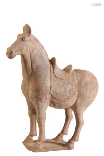 PAINTED POTTERY HORSE, TANG DYNASTY