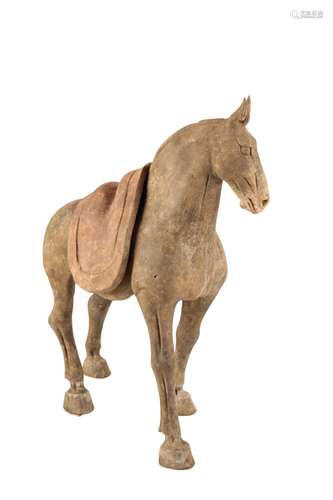 POTTERY HORSE, TANG DYNASTY