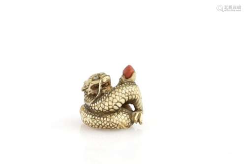 A small stained ivory netsuke of a coiled dragon, holding a tama, 19th or 20th CenturyProvenance: