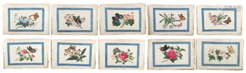 A 19th century Chinese album of ten pith paper paintings depicting butterflies & flowers, each