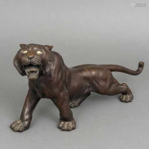 Studio Genryusai Seiya: brown patinated bronze sculpture with inlaid glass eyes: roaring tiger,