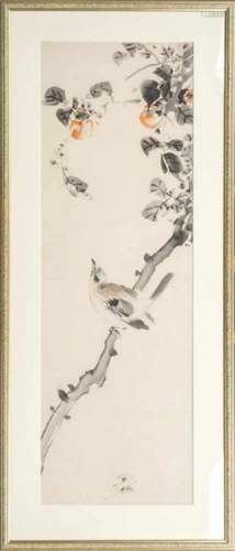 Sumi-e: Eurasian Jay sitting on a branch of a kaki tree, Japan, sumi and colour on paper, not