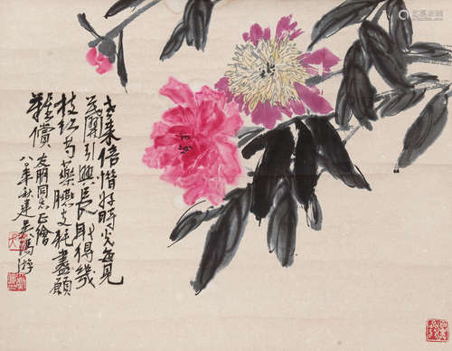 冯建吴 芍药花