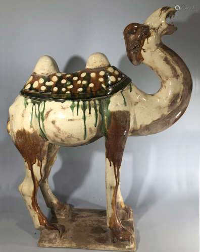 A SANCAI-GLAZED POTTERY FIGURE OF A CAMEL