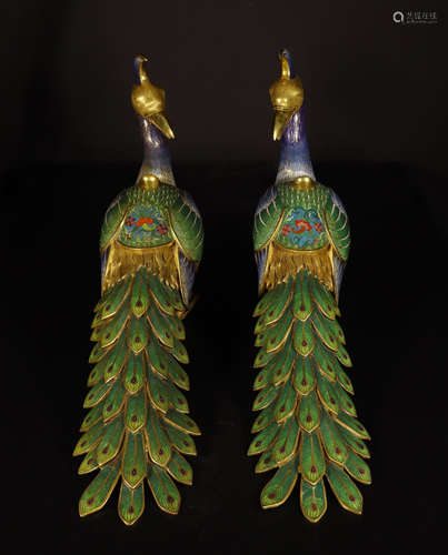 PAIR OF CHINESE CLOISONNE PEACOCK