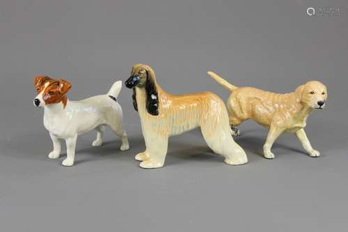 Beswick and Royal Doulton Dog Figures, the lot include a Beswick Afghan Hound 