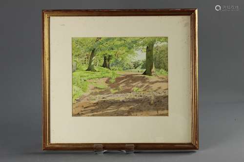 George Buckingham Pocock (1879-1960) Trio of Watercolours, entitled 'Woodland Shadow', dated 1944 'Woodland Path' dated 1938 and 'Silver Birch', signed and framed