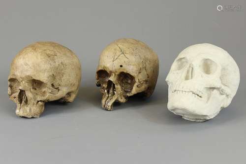 A Collection of Film/Theatre Props; the lot includes three skulls, two made of polystyrene, the third of plaster, approx 13 x 15 cms, together with a wooden mask approx 15 x 37 cms