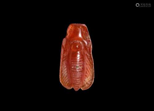 Egyptian Carnelian Fly Amulet