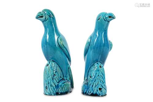 A PAIR OF CHINESE TURQUOISE-GLAZED PARROTS.