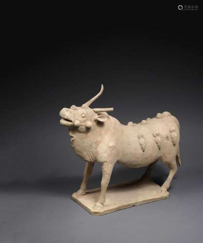 Northern Qi Dynasty A painted pottery model of an ox