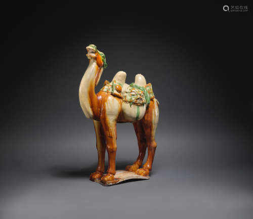 Tang Dynasty  A rare and large sancai-glazed model of a Bactrian camel