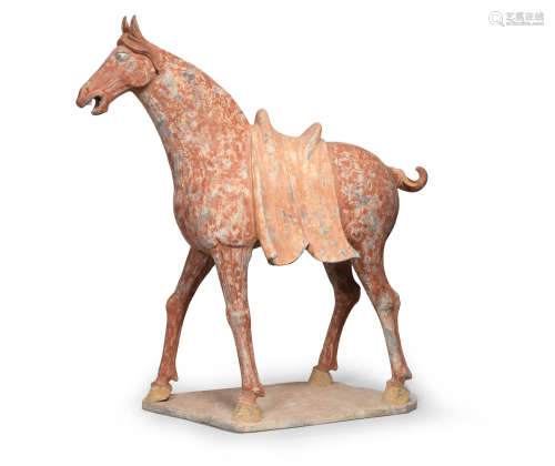 Tang Dynasty  A massive painted pottery model of a horse