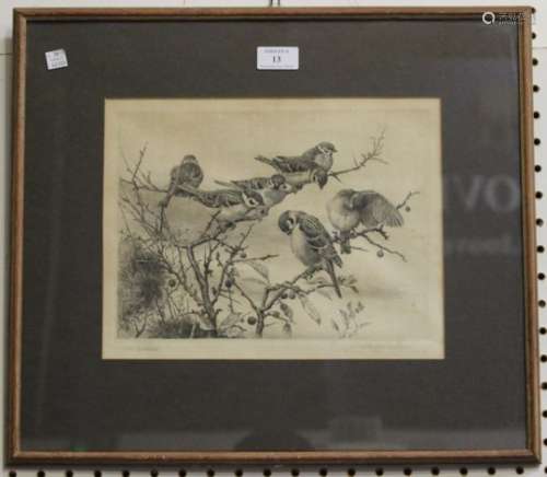 Winifred Austen - 'Tree-Sparrows', early 20th century monochrome etching, signed and titled in