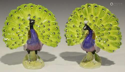 A pair of Dresden porcelain peacocks, mid-20th century, each with fanned tail on display, blue