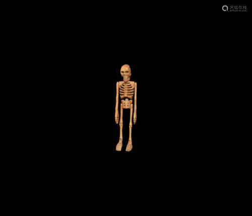 Post Medieval Skeleton from a Miniature Coffin