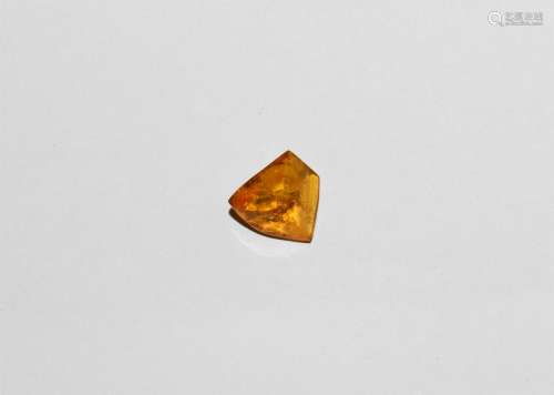 Polished Baltic Amber with Black Ants