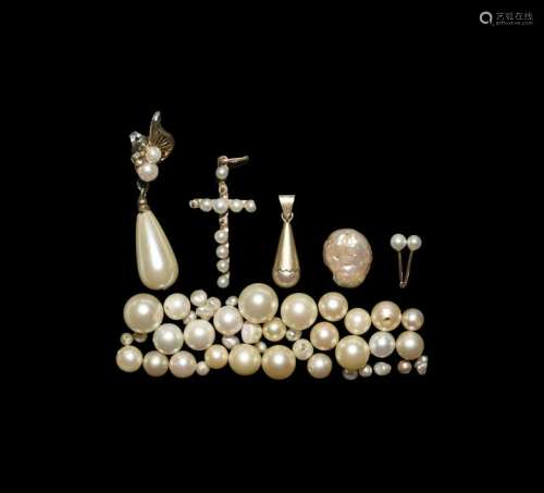 Natural History - Cultured and Other Pearl Group