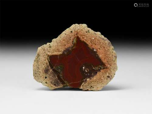 Polished Rhyolite Mineral Specimen