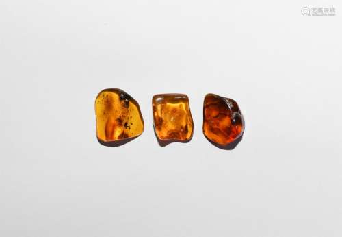 Polished Baltic Amber Pieces with Flies and Spider