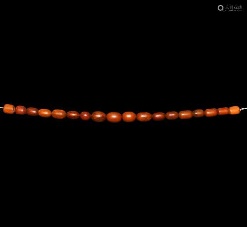 Natural History - Large Amber Bead Collection