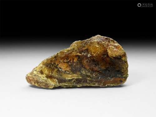 Natural History - Amber Block