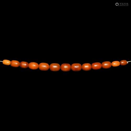 Natural History - Large Amber Bead Collection