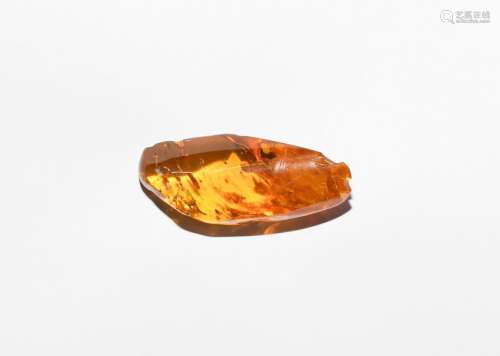 Polished Baltic Amber with Caddisfly and Insects