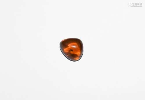 Natural History - Insect in Polished Amber