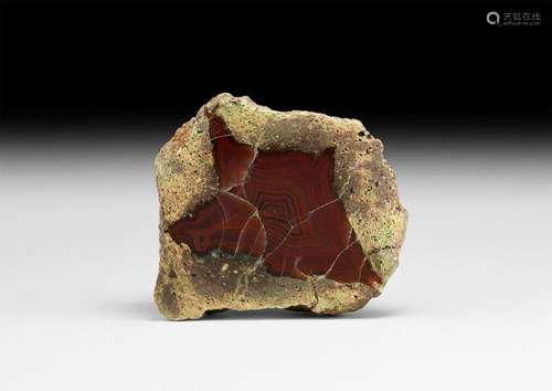 Polished Rhyolite Mineral Specimen