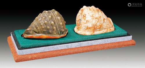 蜗寄款石纹釉海螺摆件两件