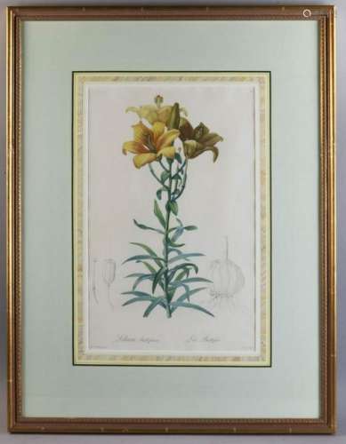 Pair of Floral Lithographs