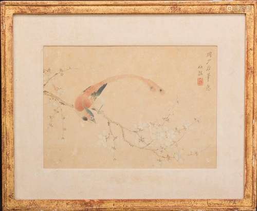 BO YUN (1773-1828), BIRD AND FLOWER