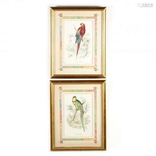 Pair of Framed Decorative Parrot Prints