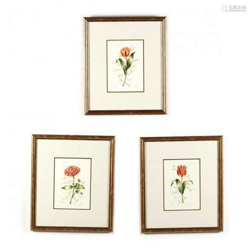 Three Framed Tulip Prints