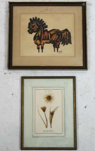 Dried Botanical Specimen and A Pony Print