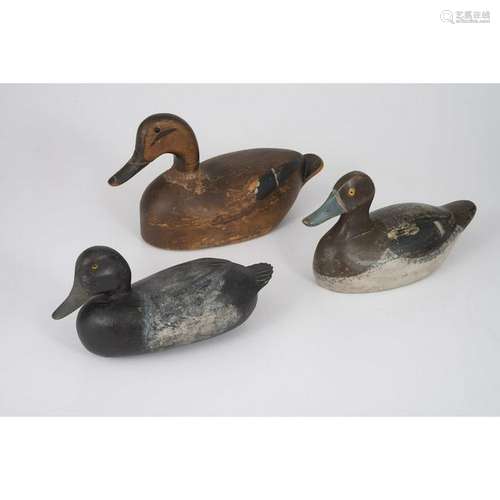 Duck Decoys