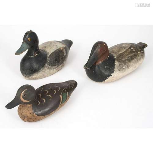 Decoy Ducks