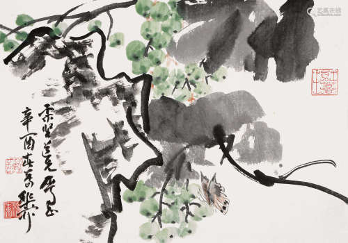 谢稚柳（1910～1997） 葡萄飞蝶 镜片 设色纸本