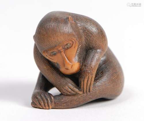 Netsuke en bois représentant un singe se cherchant…