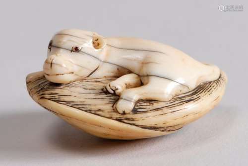 Netsuke en ivoire représentant un chien couché sur…