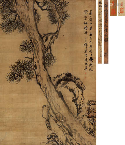 张赐宁（1743～1818） 苍松怪石图 立轴 设色绫本