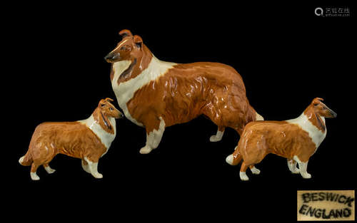 Beswick Dog Figures (3) 'Collies' Lochinvar of Lady Park' Large model no 1791. Designer A Gredington