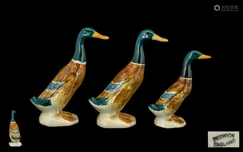 Beswick Bird Figures ( 3 ) ' Mallard Ducks ' Standing. Model 756/2/3. Designer Mr. Walker. Issued