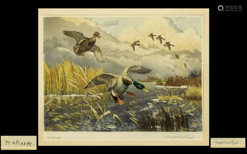 Winifred Austen Artist's Proof Tinted Etching 'Mallards', Winifred Austen esteemed British